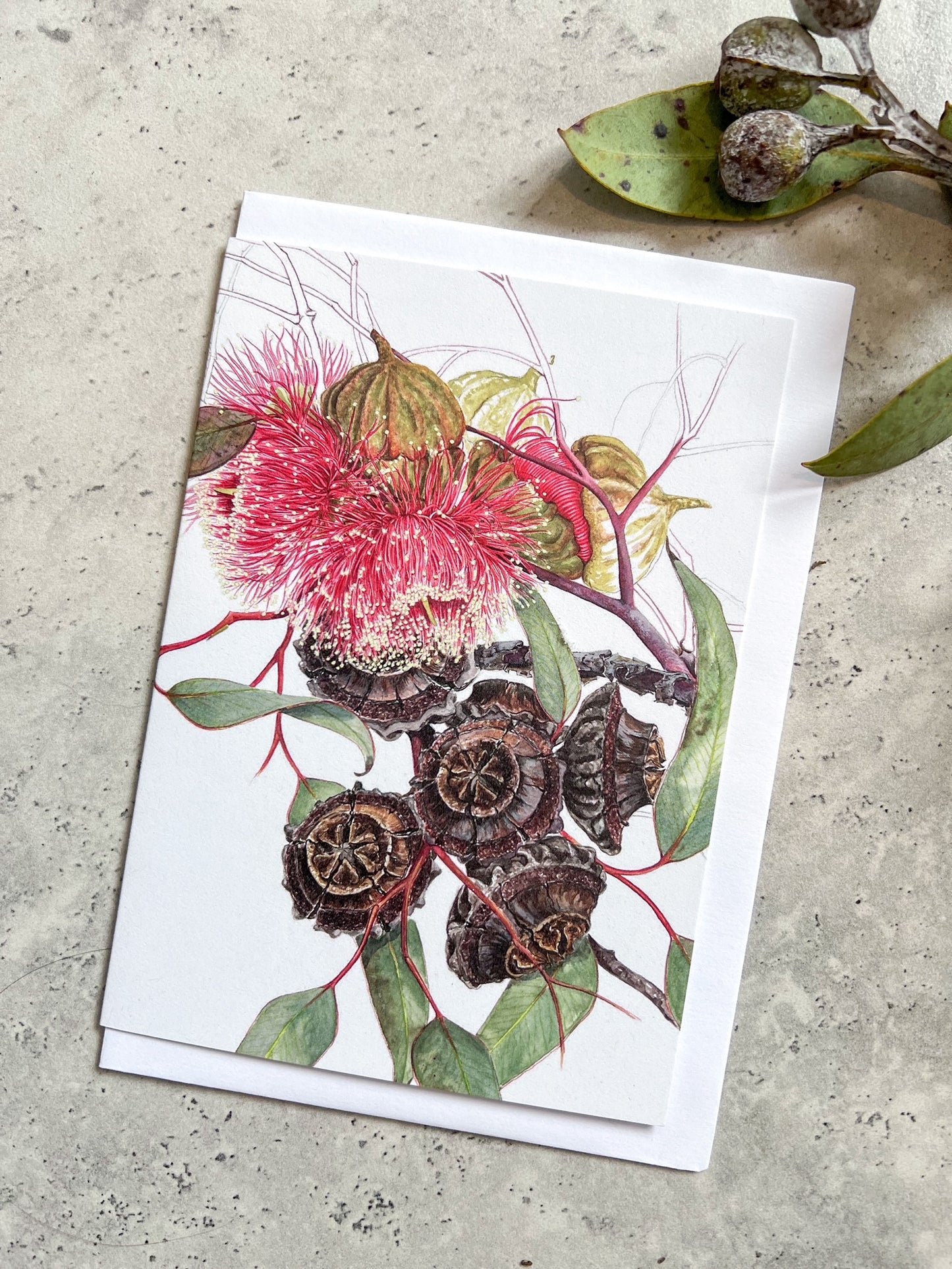 Greeting Cards by Philippa Nikulinsky