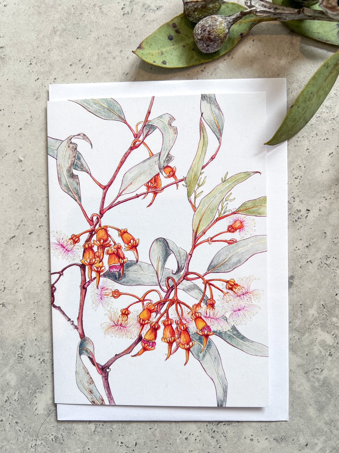Greeting Cards by Philippa Nikulinsky