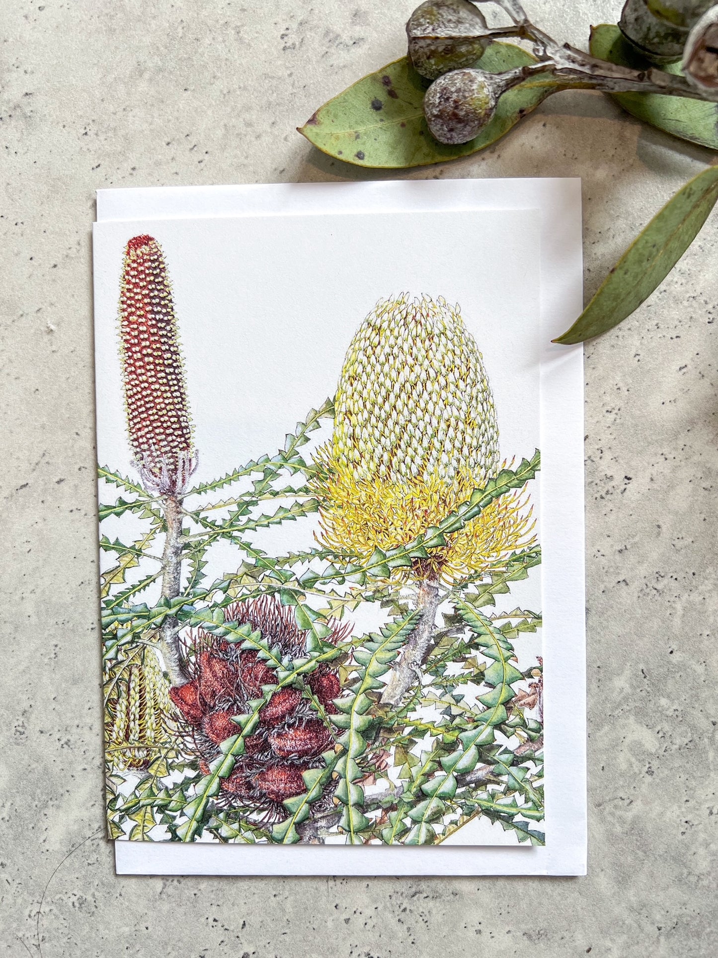 Greeting Cards by Philippa Nikulinsky