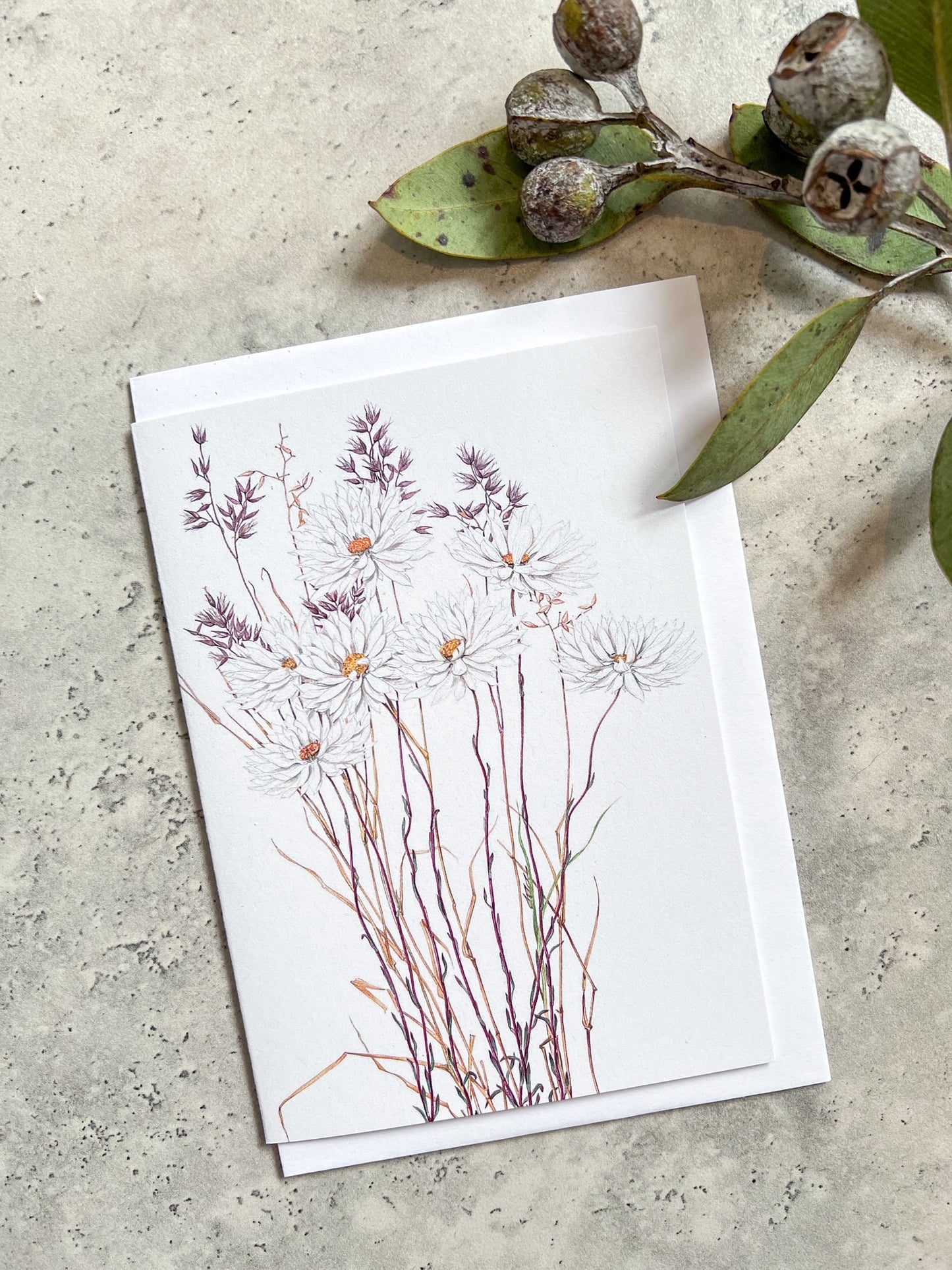 Greeting Cards by Philippa Nikulinsky