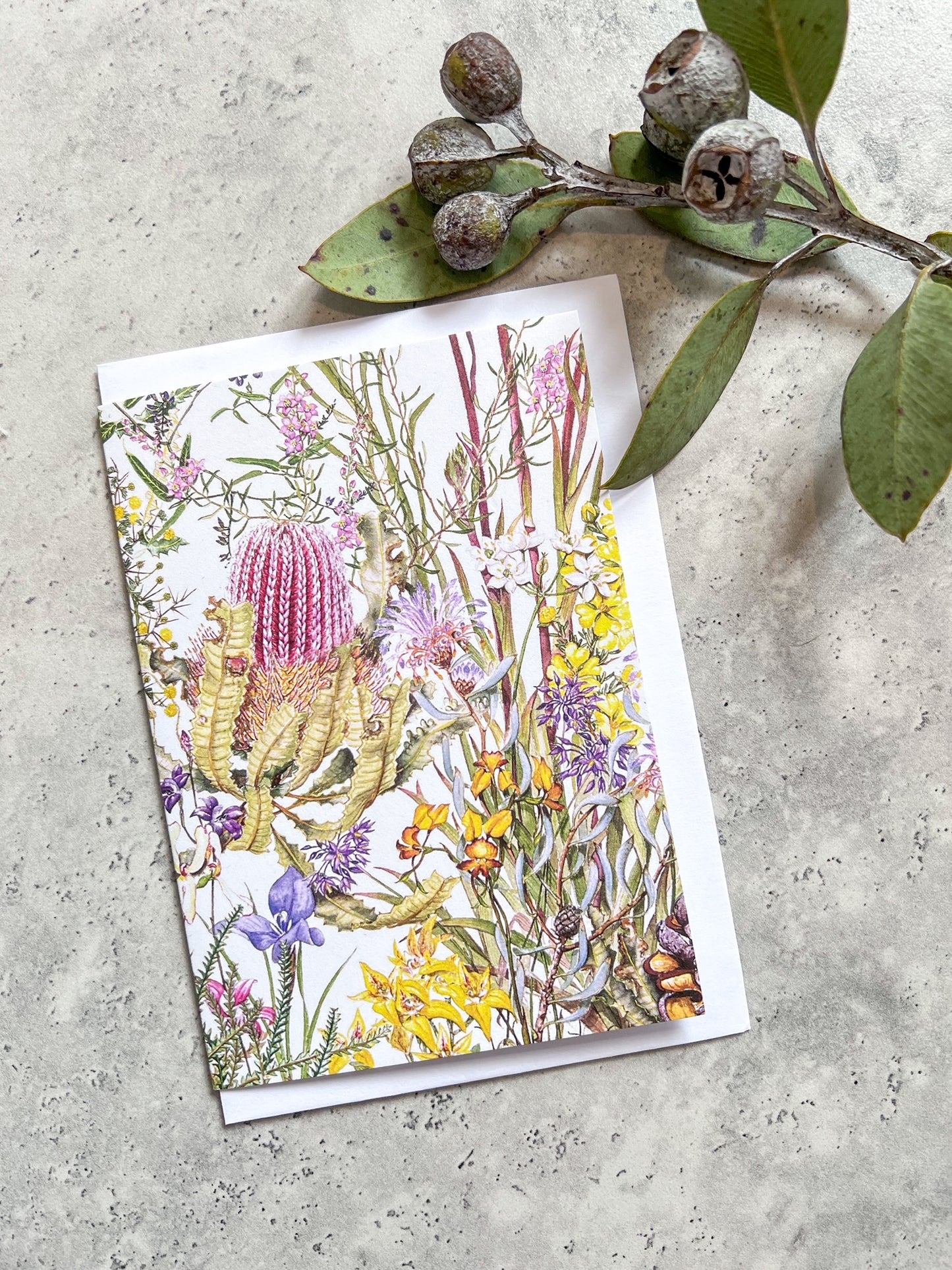 Greeting Cards by Philippa Nikulinsky