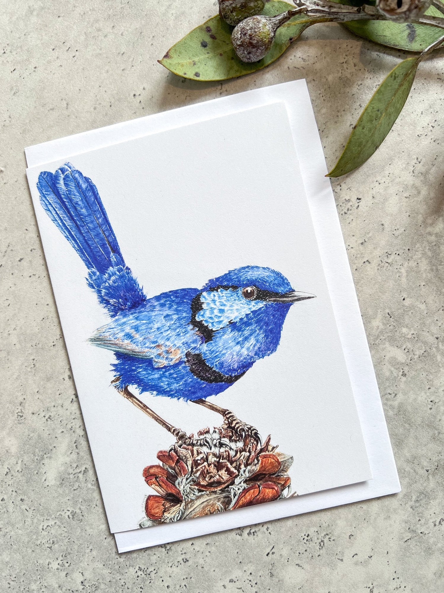 A beautiful greeting card featuring a painted blue wren